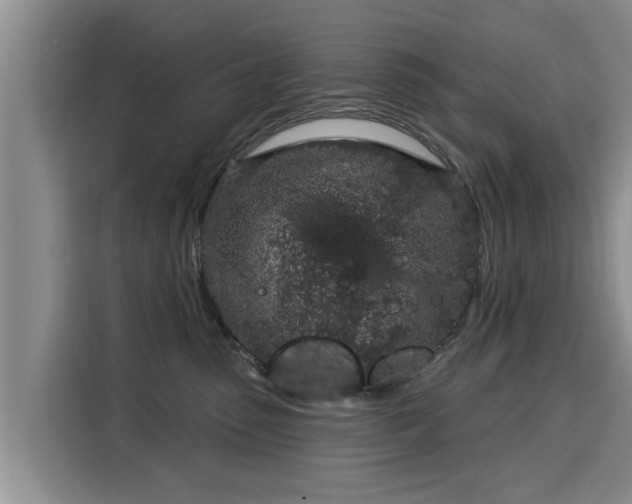 X0000116040475200911271201