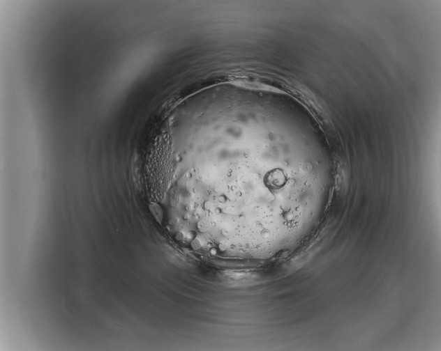 X0000116040477200911271202