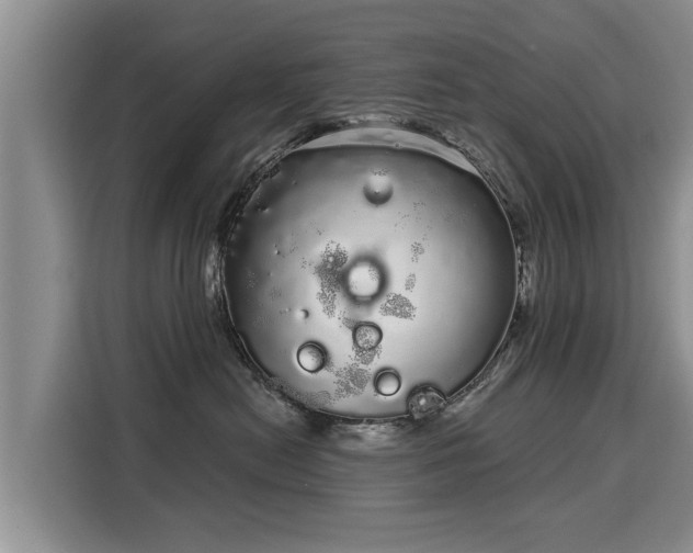 X0000116040478200911271202