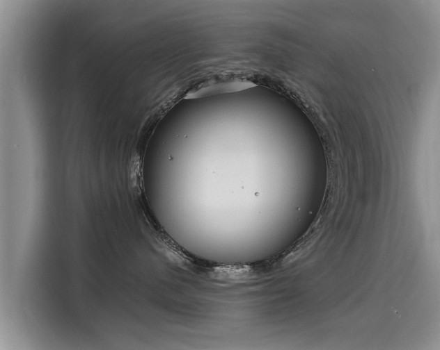 X0000116040480200911271202