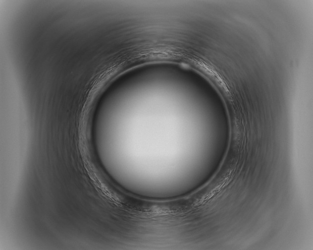 X0000116040481200911271201