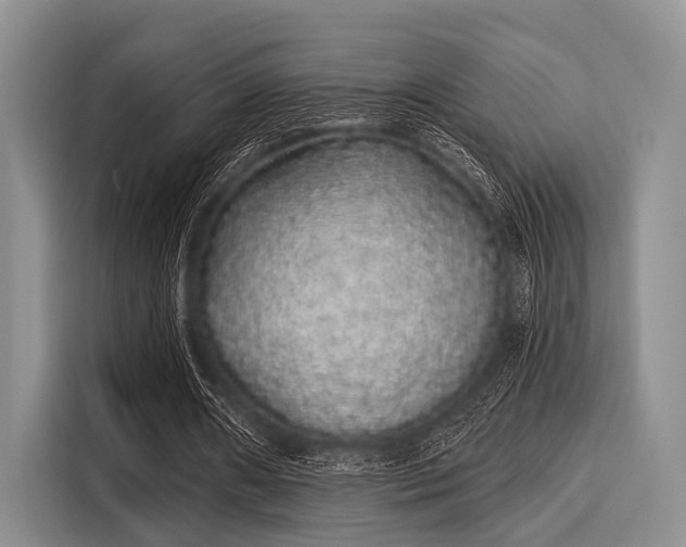 X0000116040482200911271201