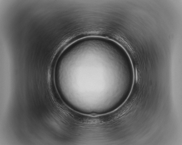 X0000116040483200911271201