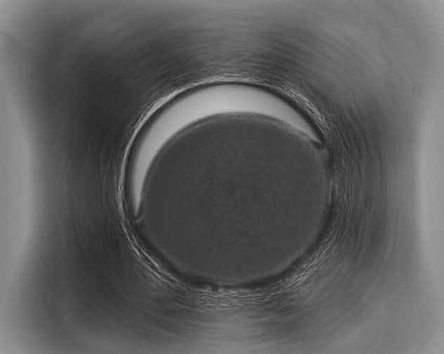 X0000116040484200911271201