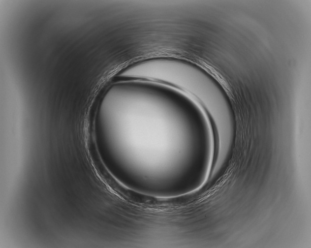 X0000116040485200911271201