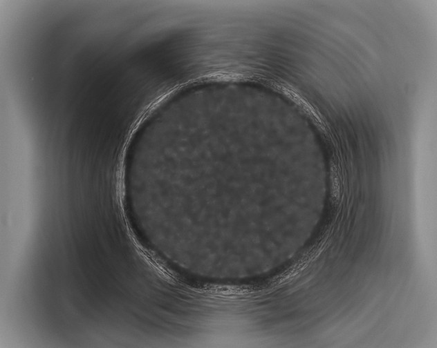 X0000116040486200911271201