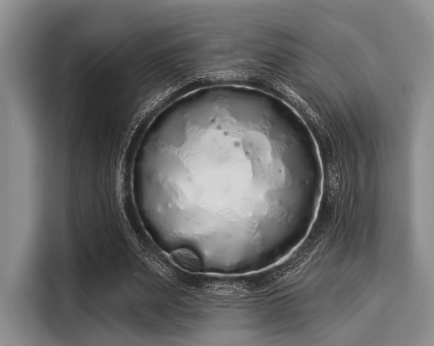 X0000116040487200911271201