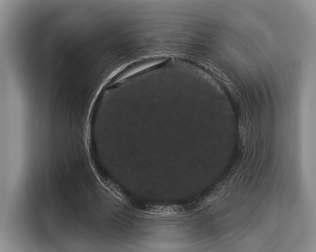 X0000116040488200911271201