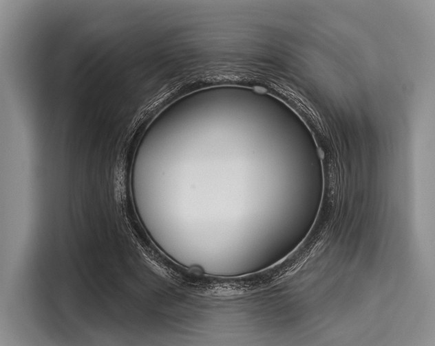 X0000116040489200911271201