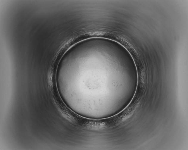 X0000116040491200911271201