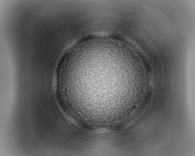 X0000116040494200911271201