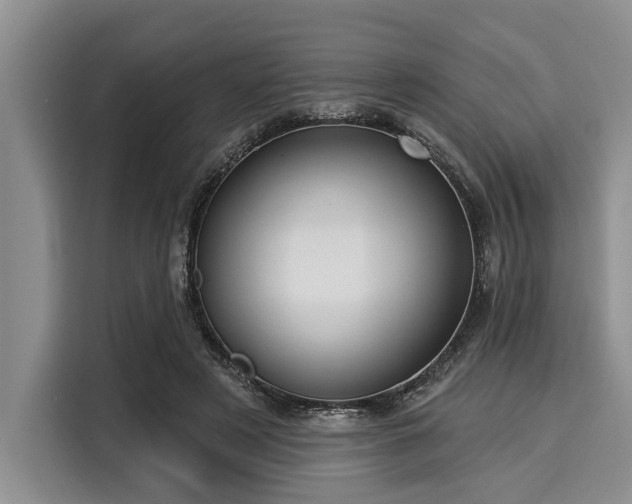 X0000116040497200911271201