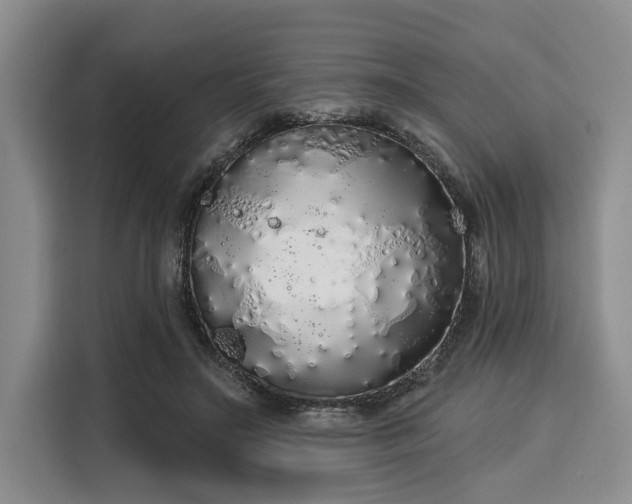 X0000116040499200911271201