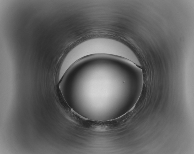 X0000116040500200911271201