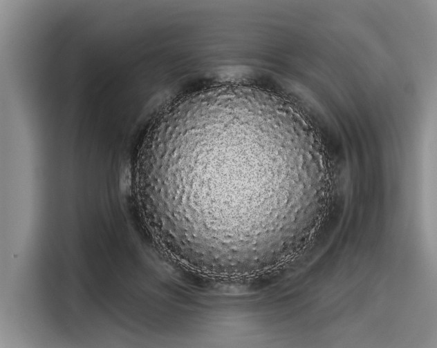 X0000116040502200911271201