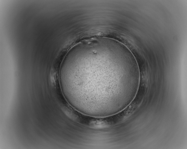 X0000116040503200911271201