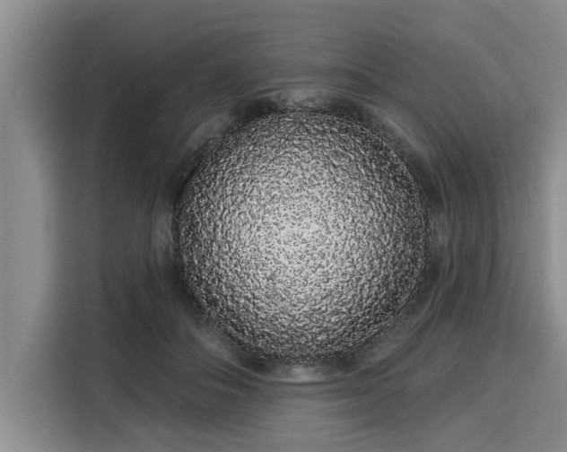 X0000116040506200911271201