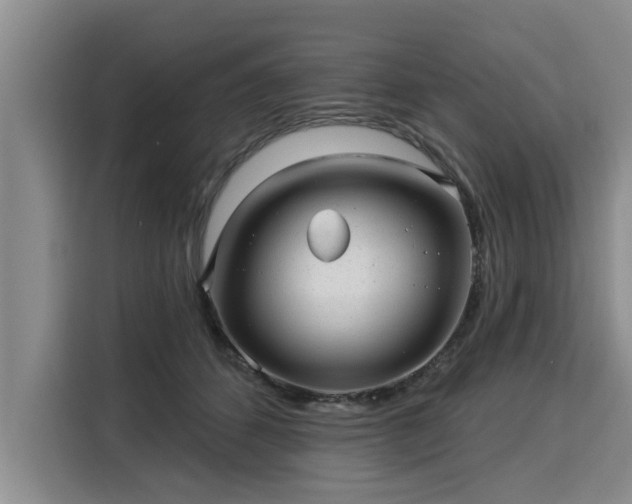 X0000116040512200911271201