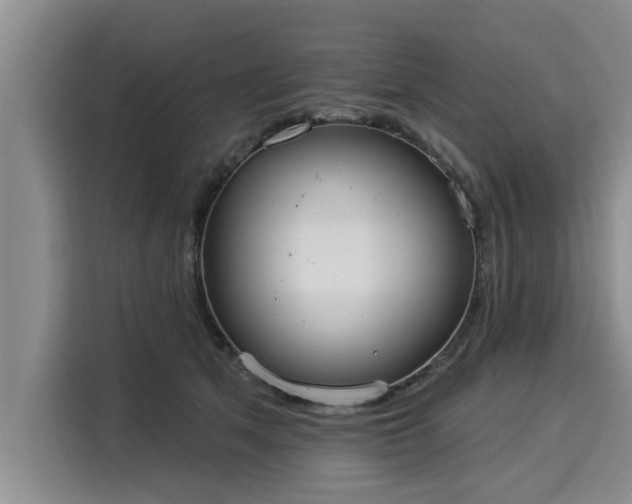 X0000116040513200911271201