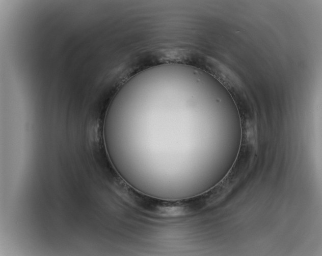 X0000116040514200911271201