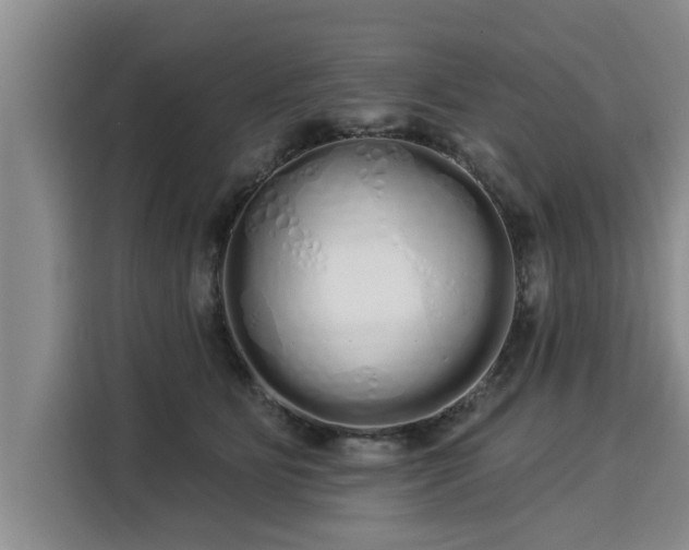 X0000116040515200911271200