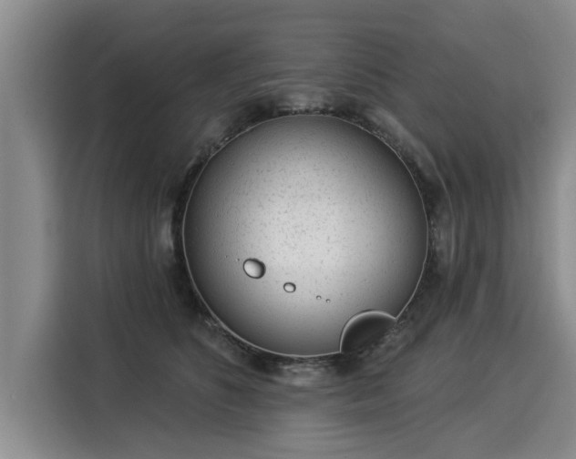 X0000116040516200911271200