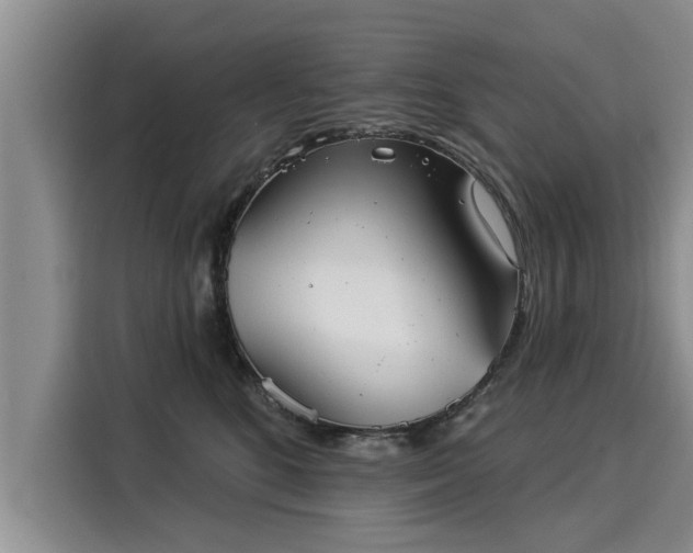 X0000116040520200911271200