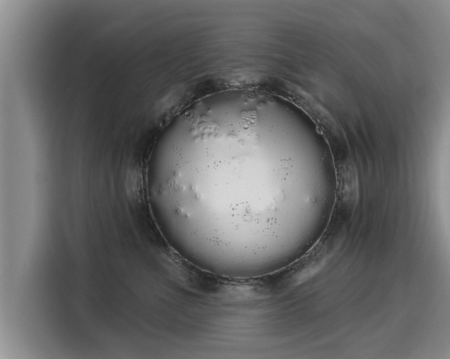 X0000116040523200911271200