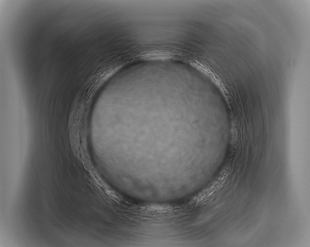 X0000116040529200911271200