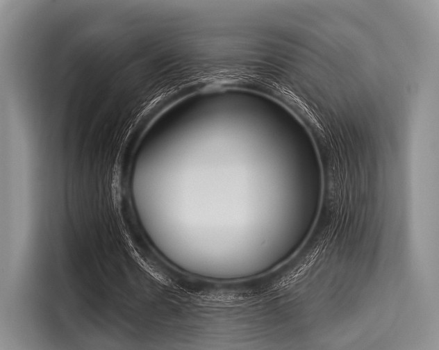 X0000116040530200911271200