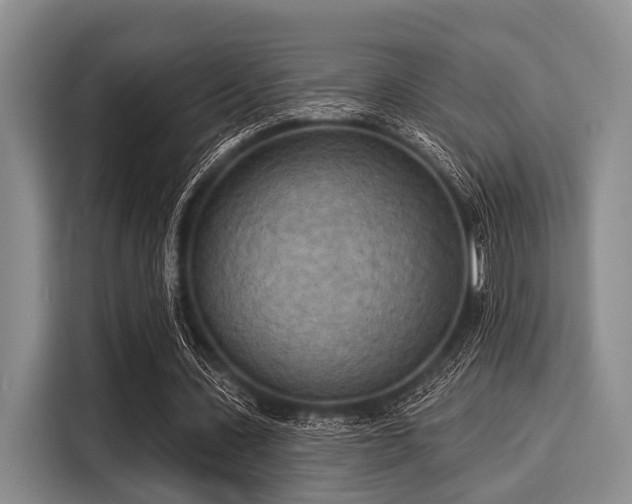 X0000116040531200911271200