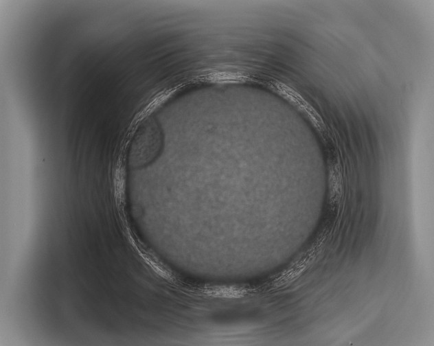 X0000116040533200911271200