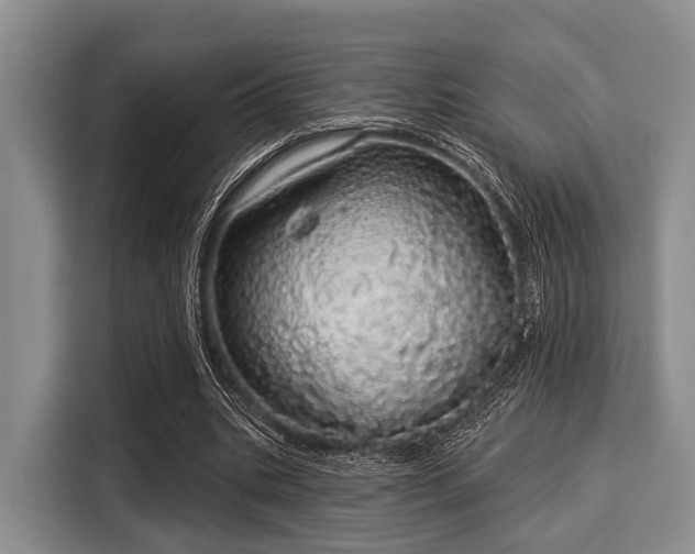 X0000116040535200911271200