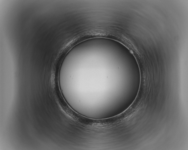 X0000116040538200911271200