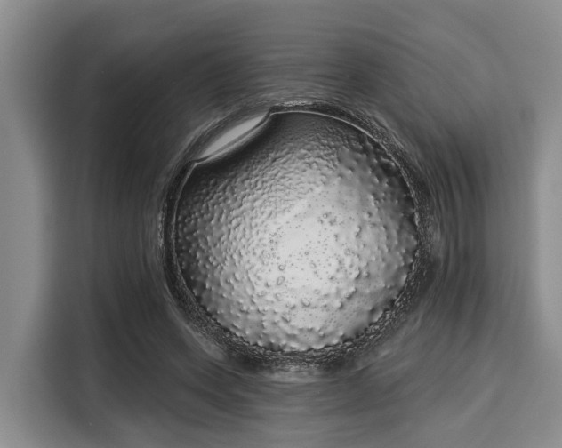 X0000116040543200911271200