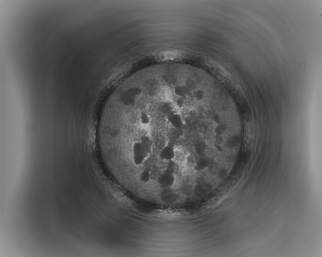 X0000116040545200911271200