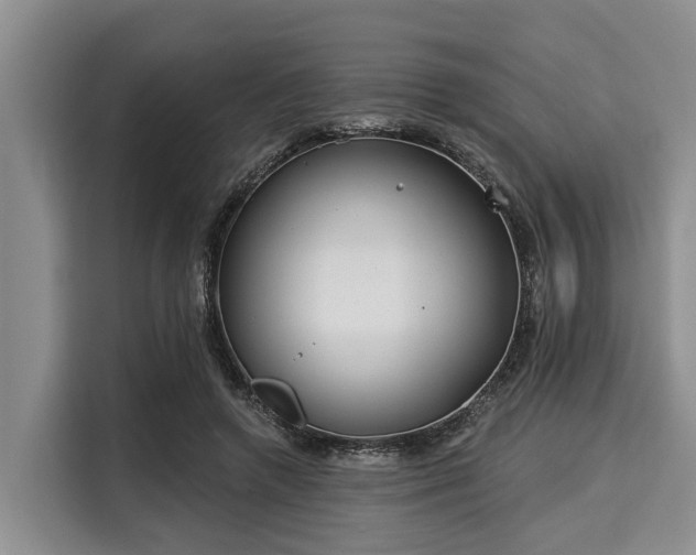 X0000116040546200911271200