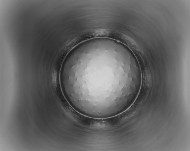 X0000116040550200911271200