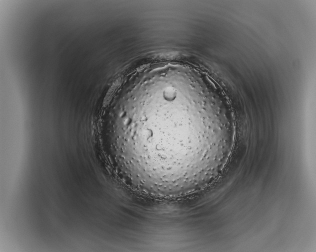 X0000116040551200911271200