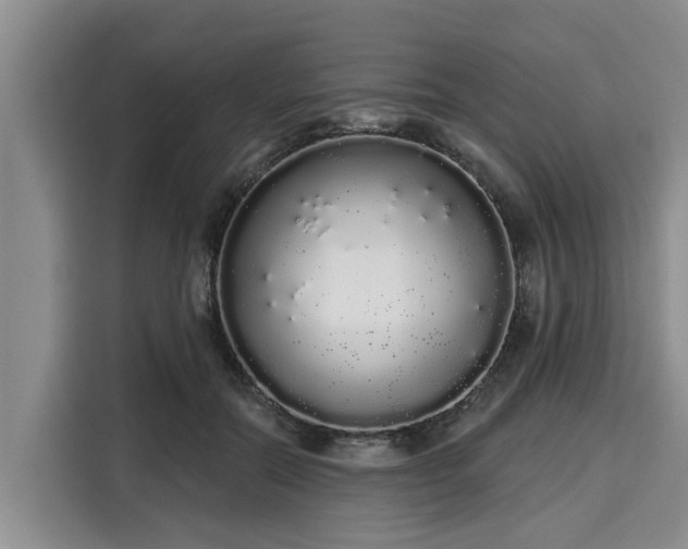 X0000116040554200911271200