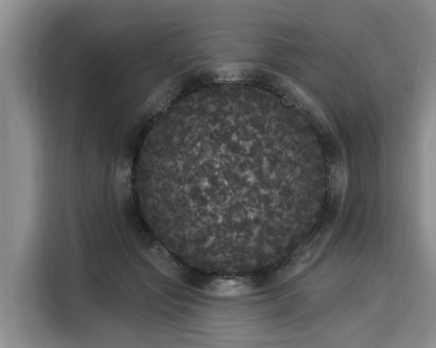 X0000116040557200911271200