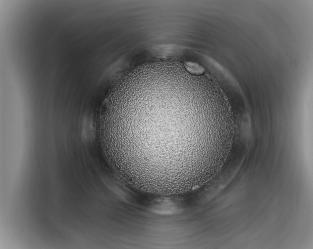 X0000116040558200911271200