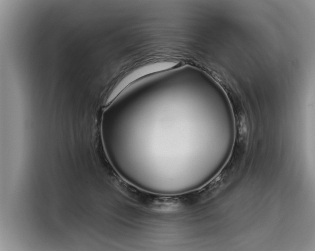 X0000116040559200911271200