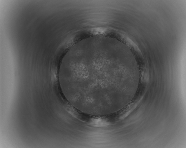 X0000116040561200911271200