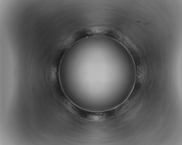 X0000116040563200911271200