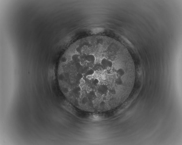 X0000116040565200911271200