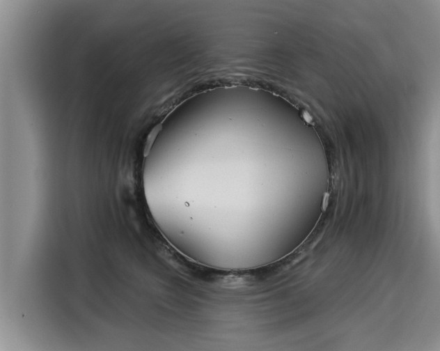 X0000116040566200911271200