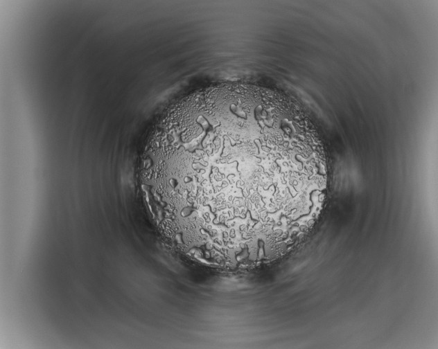 X0000116040569200911271200