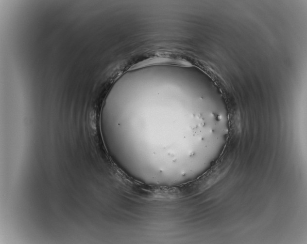 X0000116040571200911271200