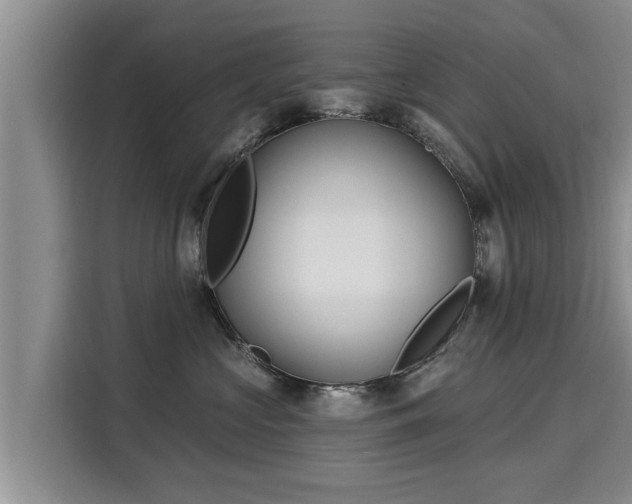 X0000116040573200911271200